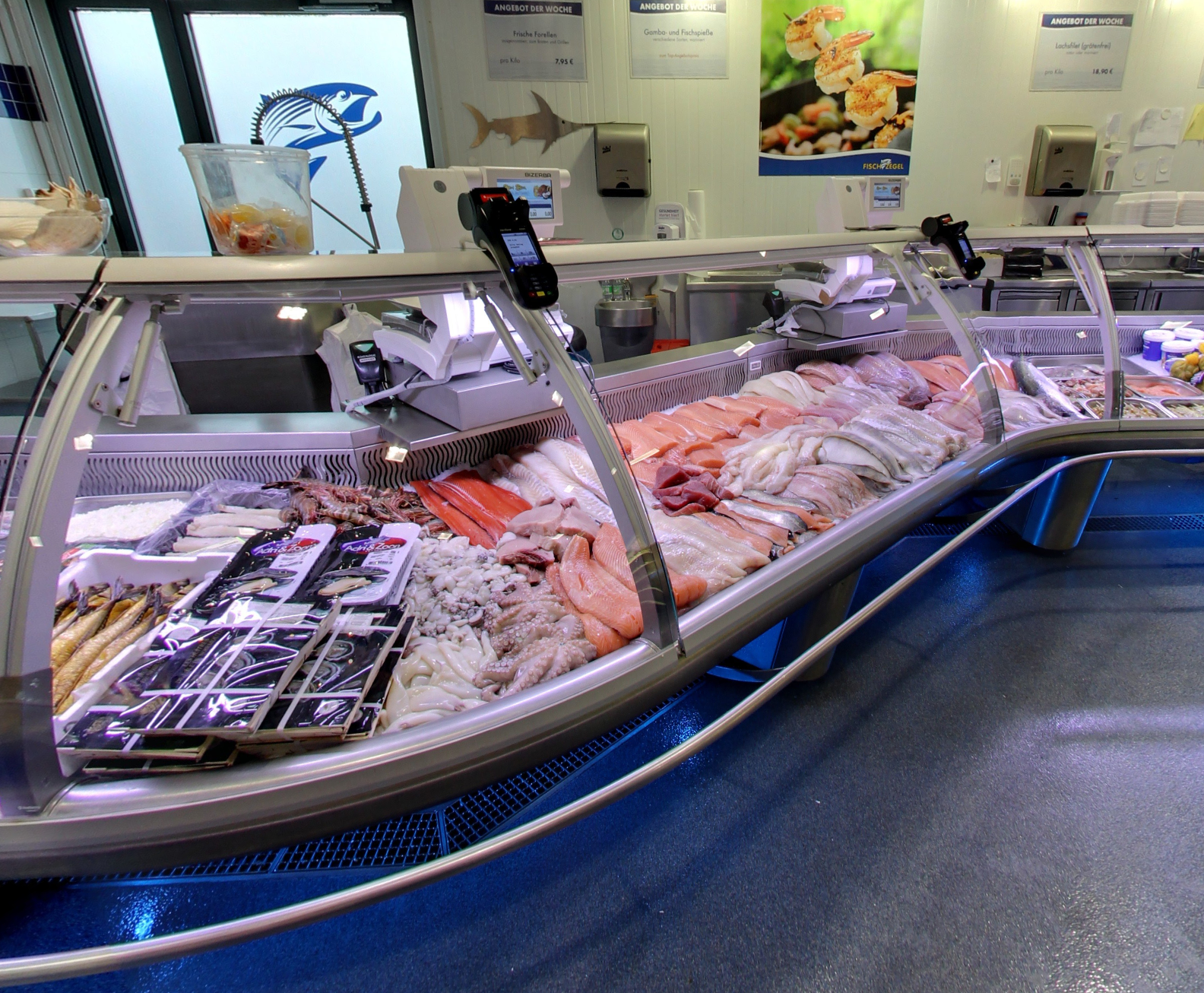 Fisch Zegel Virtueller Rundgang